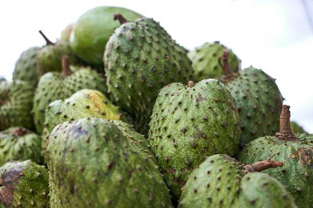 Keajaiban Buah Sirsak